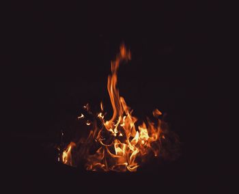 Close-up of bonfire at night