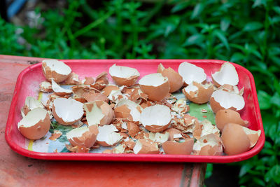 Empty eggshell in plastic tray