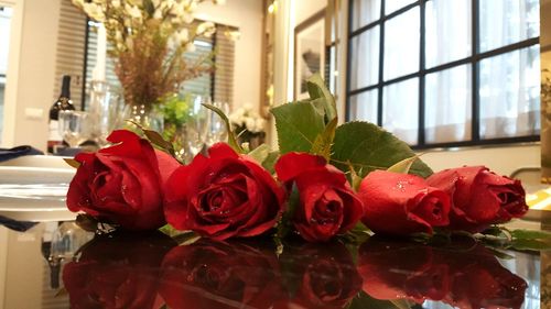 Close-up of red roses