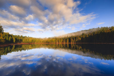 Stunning reflection on lake in early winter morning