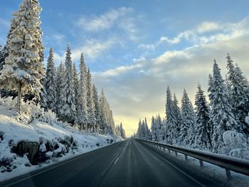 Road amidst trees against sky