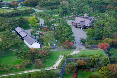 High angle view of trees and buildings