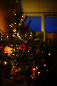 Low angle view of illuminated christmas tree