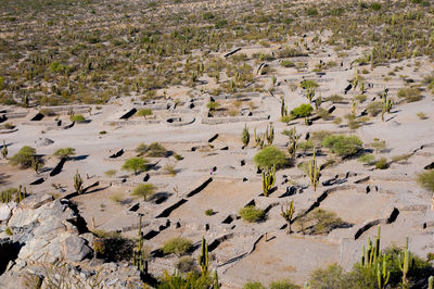 High angle view of rocks on land