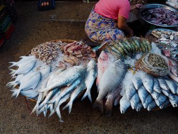 Close-up of seafood for sale in market