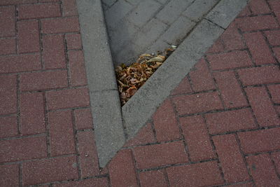 High angle view of cigarette on street