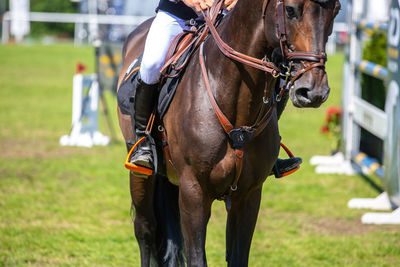 Low section of man riding horse