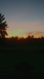 Silhouette trees on field against sky at sunset