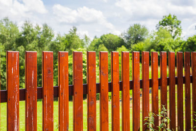 Row of fence against trees and sky