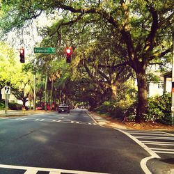 Road passing through trees