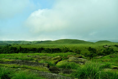 Scenic view of landscape against sky