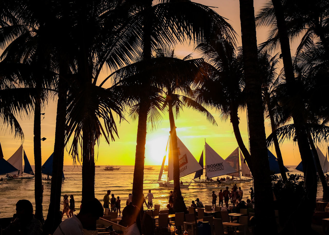 water, palm tree, tropical climate, sky, tree, sea, sunset, nature, beauty in nature, silhouette, plant, real people, scenics - nature, group of people, beach, transportation, sunlight, nautical vessel, women, outdoors, horizon over water, sailboat