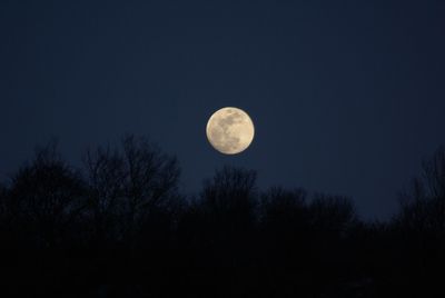 Low angle view of moon in sky
