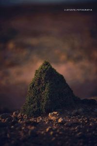 Scenic view of rock against sky during sunset