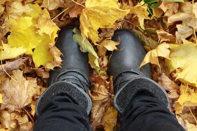 Low section of person standing on autumn leaves