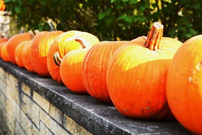 Close-up of pumpkins