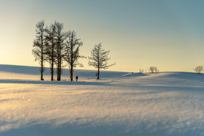 Trees on snow covered land against sky during sunset