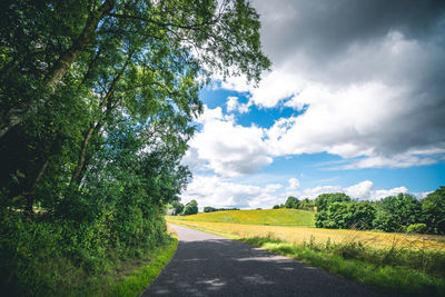 Empty road along trees and plants against sky