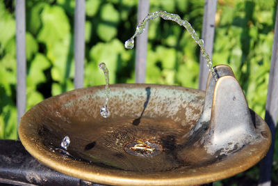 Close-up of water from faucet