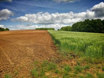 Scenic view of grassy field against cloudy sky