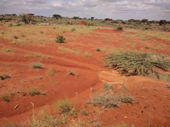 Scenic view of landscape against sky