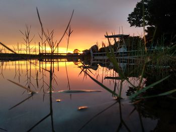 Silhouette plants by lake against sky at sunset
