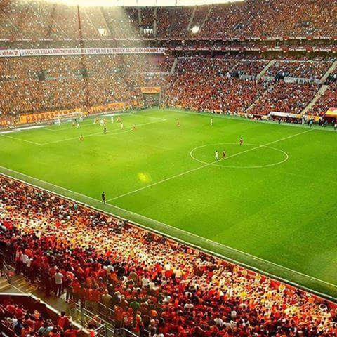 stadium, soccer, soccer field, sport, leaf, american football - sport, grass, team sport, crowd, audience, autumn, event, green color, spectator, fan - enthusiast, sports team, floodlit, people, outdoors, day, adult