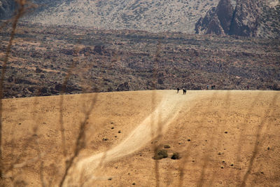 View of a desert