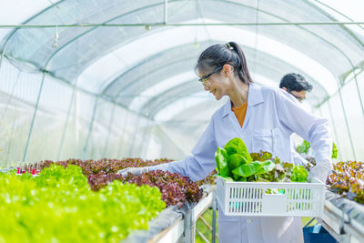 Botanists working in greenhouse