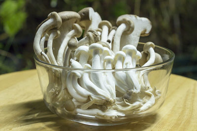 Close-up of edible mushrooms in glass bowl on wooden table at yard