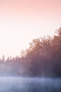 Trees by lake against sky at foggy weather