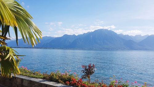 Scenic view of lake by mountains against sky