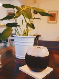 Close-up of potted plant on table at home