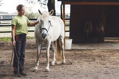 Horse standing on field