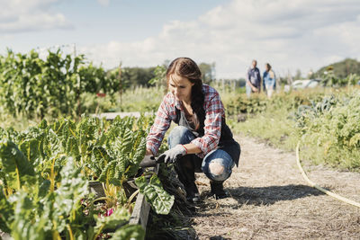 Female gardener crouching and planting on farm