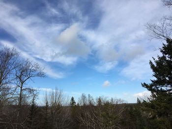 Bare trees on landscape against sky