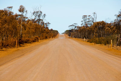 Dirt road amidst trees against sky