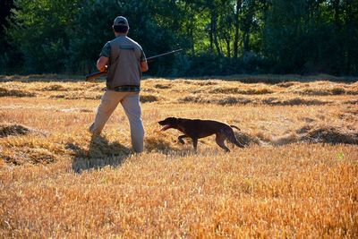 Rear view of hunter walking with dog on land