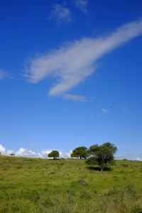 Scenic view of grassy field against sky