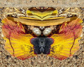 Digital composite image of old wall