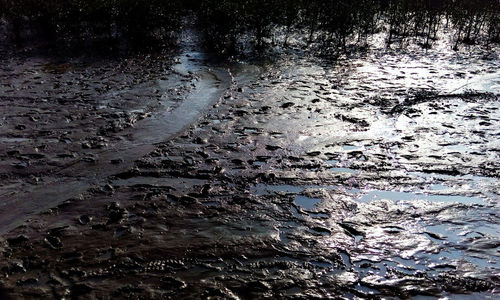 View of water in water