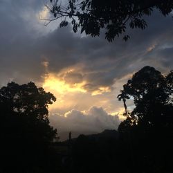 Silhouette of trees against cloudy sky