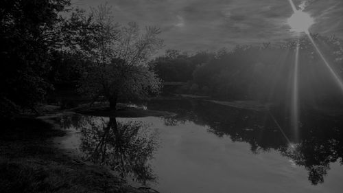 Reflection of trees in lake against sky