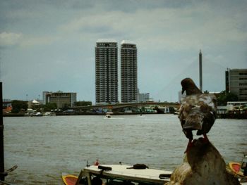 View of river with buildings in background