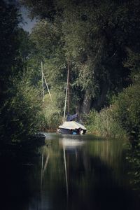 Scenic view of lake in forest