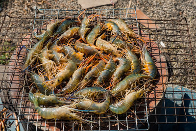 High angle view of crabs on barbecue