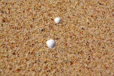 Close-up of pebbles on beach