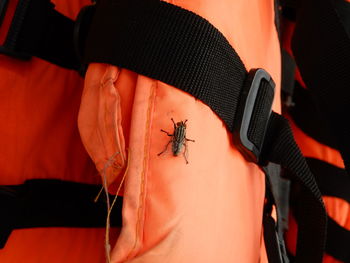 Close-up of fly on life jacket  in cambodia. 