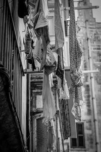 Close-up of clothes hanging on clothesline