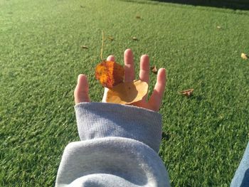 Low section of person on field